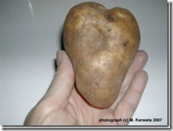 heart potatoes 2