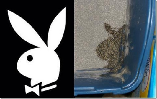 Playboy Bunny Pee in a Box
