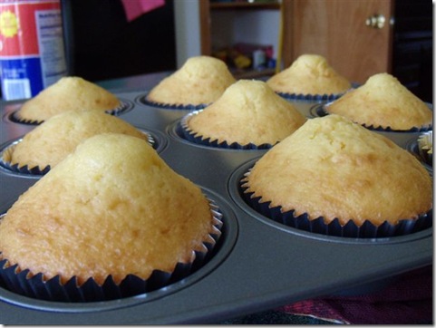 Nipple_cupcakes