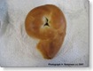 bagel9