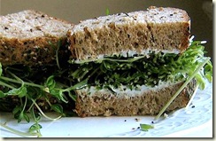sprouts sandwich