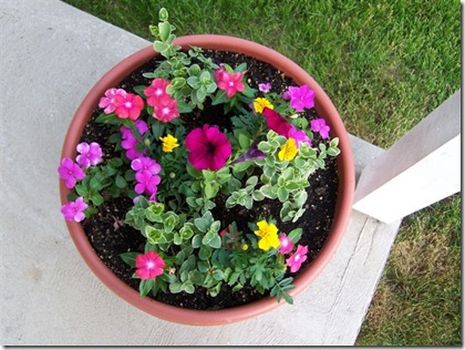 pretty planter