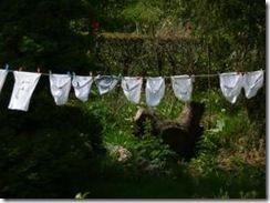 clothesline