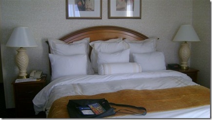 Marriott  pillows