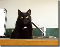 Shadow in sink